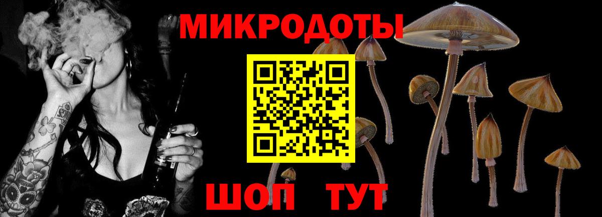 Псилоцибиновые грибы прущие грибы  Вход с VPN  Шарыпово 